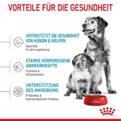 Royal Canin Medium Starter Trockenfutter 15 Kg Trockenfutter Für Hunde 16 Royal Canin Medium Starter Trockenfutter 15 Kg Trockenfutter Für Hunde -Deutschland Kuschel Pet Verkaufs-Shop QR192y0rQSEp 3182550932714 2515 4