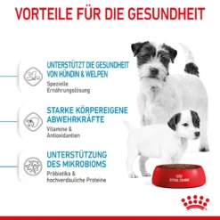 Royal Canin Mini Starter Trockenfutter 4 Kg Trockenfutter 16 Royal Canin Mini Starter Trockenfutter 4 Kg Trockenfutter -Deutschland Kuschel Pet Verkaufs-Shop R0BwgXOmGP0f 3182550932707 2504 4