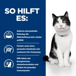 Hills I/d Mit ActivBiome+ Ragout In Dosen Für Katzen 24 X 82 G Ragout Mit ActivBiome+ In Dosen Für Katzen -Deutschland Kuschel Pet Verkaufs-Shop RUcoq0KJ328i 52742039893 4