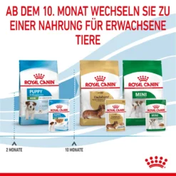 Royal Canin Mini Puppy Frischebeutel 12 X 85 G Frischebeutel Für Hunde 17 Royal Canin Mini Puppy Frischebeutel 12 X 85 G Frischebeutel Für Hunde -Deutschland Kuschel Pet Verkaufs-Shop S3Pn6KJg0Ad2 9003579008201 4701 8