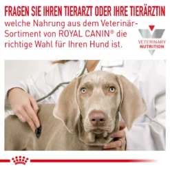 Royal Canin Hypoallergenic Hundefutter 2 Kg Trockenfutter Für Hunde 13 Royal Canin Hypoallergenic Hundefutter 2 Kg Trockenfutter Für Hunde -Deutschland Kuschel Pet Verkaufs-Shop TFczqNBRSIE2 3182550939904 5739 3
