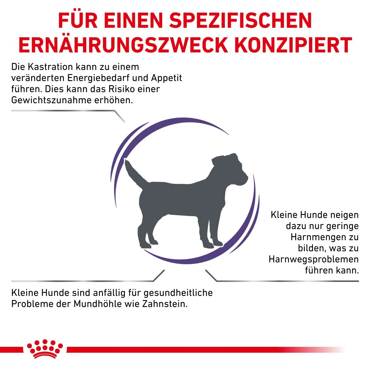 Royal Canin Neutered Adult Small Dogs Hundefutter 1,5 Kg Hundefutter 5 Royal Canin Neutered Adult Small Dogs Hundefutter 1,5 Kg Hundefutter – Bild 3
