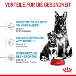 Royal Canin Maxi Starter Trockenfutter 15 Kg Trockenfutter Für Hunde -Deutschland Kuschel Pet Verkaufs-Shop TwyghNpPvGUl 3182550778787 2525 4