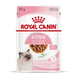Royal Canin Kitten Second Age Für Kätzchen Bis Zum 12. Monat 12 X 85 G In Soße Frischebeutel -Deutschland Kuschel Pet Verkaufs-Shop TwzlIf7AQgTc 9003579308745 4501 Packshot