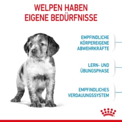 Royal Canin Medium Puppy Für Welpen Mittelgroßer Hunderassen 4 Kg Trockenfutter 15 Royal Canin Medium Puppy Für Welpen Mittelgroßer Hunderassen 4 Kg Trockenfutter -Deutschland Kuschel Pet Verkaufs-Shop TygQwR35BMyl 3182550402132 2905 3
