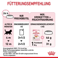 Royal Canin Kitten Frischebeutel Mit Gelee 12 X 85 G In Gelee Frischebeutel 16 Royal Canin Kitten Frischebeutel Mit Gelee 12 X 85 G In Gelee Frischebeutel -Deutschland Kuschel Pet Verkaufs-Shop UI0bRnhIafTO 9003579311783 4503 7