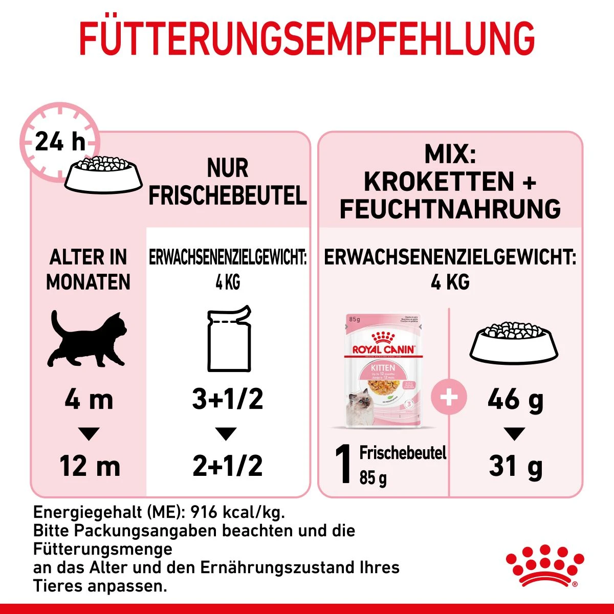 Royal Canin Kitten Frischebeutel Mit Gelee 12 X 85 G In Gelee Frischebeutel 8 Royal Canin Kitten Frischebeutel Mit Gelee 12 X 85 G In Gelee Frischebeutel – Bild 6