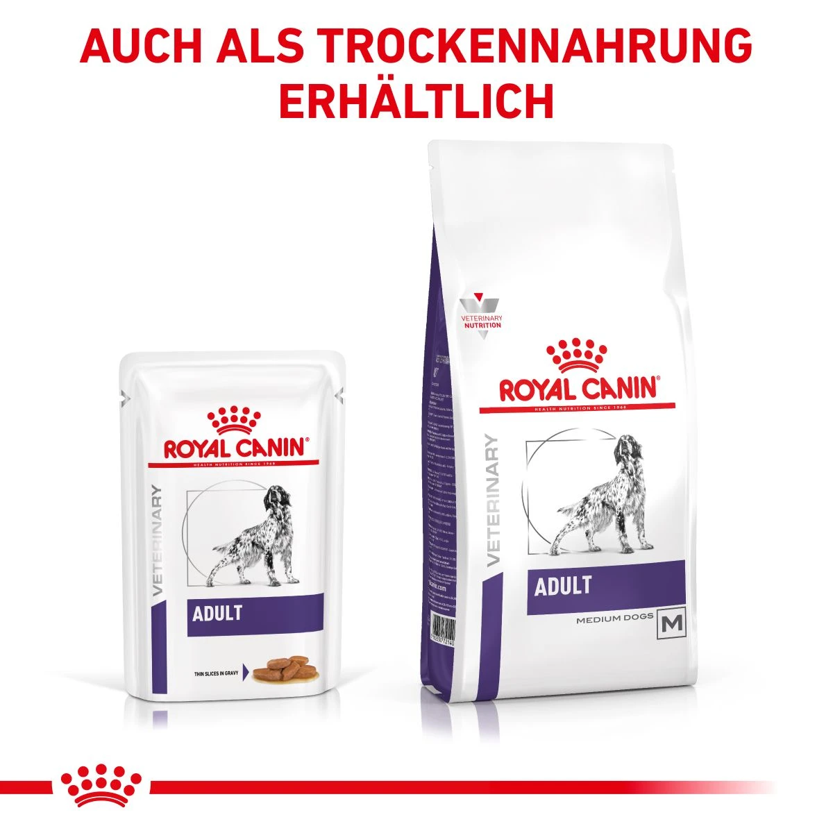 Royal Canin Dog Adult Frischebeutel Für Hunde 12 X 100 G Frischebeutel Für Hunde 8 Royal Canin Dog Adult Frischebeutel Für Hunde 12 X 100 G Frischebeutel Für Hunde – Bild 6