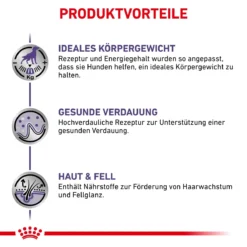 Royal Canin Neutered Adult Frischebeutel Für Hunde 12 X 100 G Frischebeutel Für Hunde 11 Royal Canin Neutered Adult Frischebeutel Für Hunde 12 X 100 G Frischebeutel Für Hunde -Deutschland Kuschel Pet Verkaufs-Shop UjAQj2rDRSHV 9003579015476 4042 3