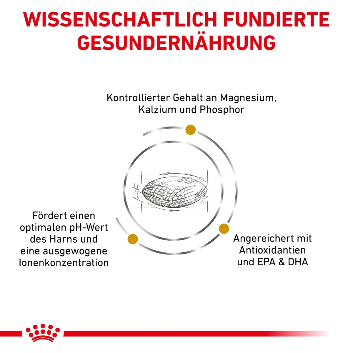 Royal Canin Urinary S/O Trockenfutter Für Hunde 2 Kg Trockenfutter Für Hunde 5 Royal Canin Urinary S/O Trockenfutter Für Hunde 2 Kg Trockenfutter Für Hunde – Bild 3