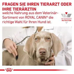 Royal Canin Gastrointestinal Low Fat Hundefutter In Dosen 12 X 200 G Low Fat Mousse Dosenfutter 25 Royal Canin Gastrointestinal Low Fat Hundefutter In Dosen 12 X 200 G Low Fat Mousse Dosenfutter -Deutschland Kuschel Pet Verkaufs-Shop WQmAY4AdUUrh 9003579024515 58 8