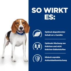 Hills R/d Dosenfutter Für Hunde 12 X 350 G Dosenfutter Für Hunde 11 Hills R/d Dosenfutter Für Hunde 12 X 350 G Dosenfutter Für Hunde -Deutschland Kuschel Pet Verkaufs-Shop WseExNMQF4jr 52742801407 3