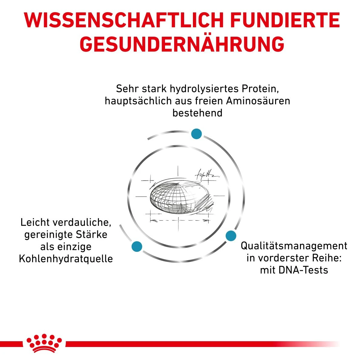 Royal Canin Anallergenic Trockenfutter Für Hunde 1,5 Kg Trockenfutter Für Hunde 6 Royal Canin Anallergenic Trockenfutter Für Hunde 1,5 Kg Trockenfutter Für Hunde – Bild 4