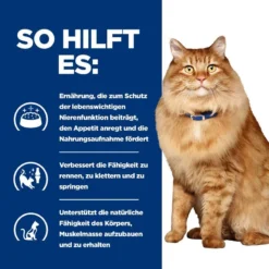 Hills K/d + Mobility Frischebeutel Für Katzen 12 X 85 G Frischebeutel Für Katzen 12 Hills K/d + Mobility Frischebeutel Für Katzen 12 X 85 G Frischebeutel Für Katzen -Deutschland Kuschel Pet Verkaufs-Shop YmxOI0hQh612 52742011561 4
