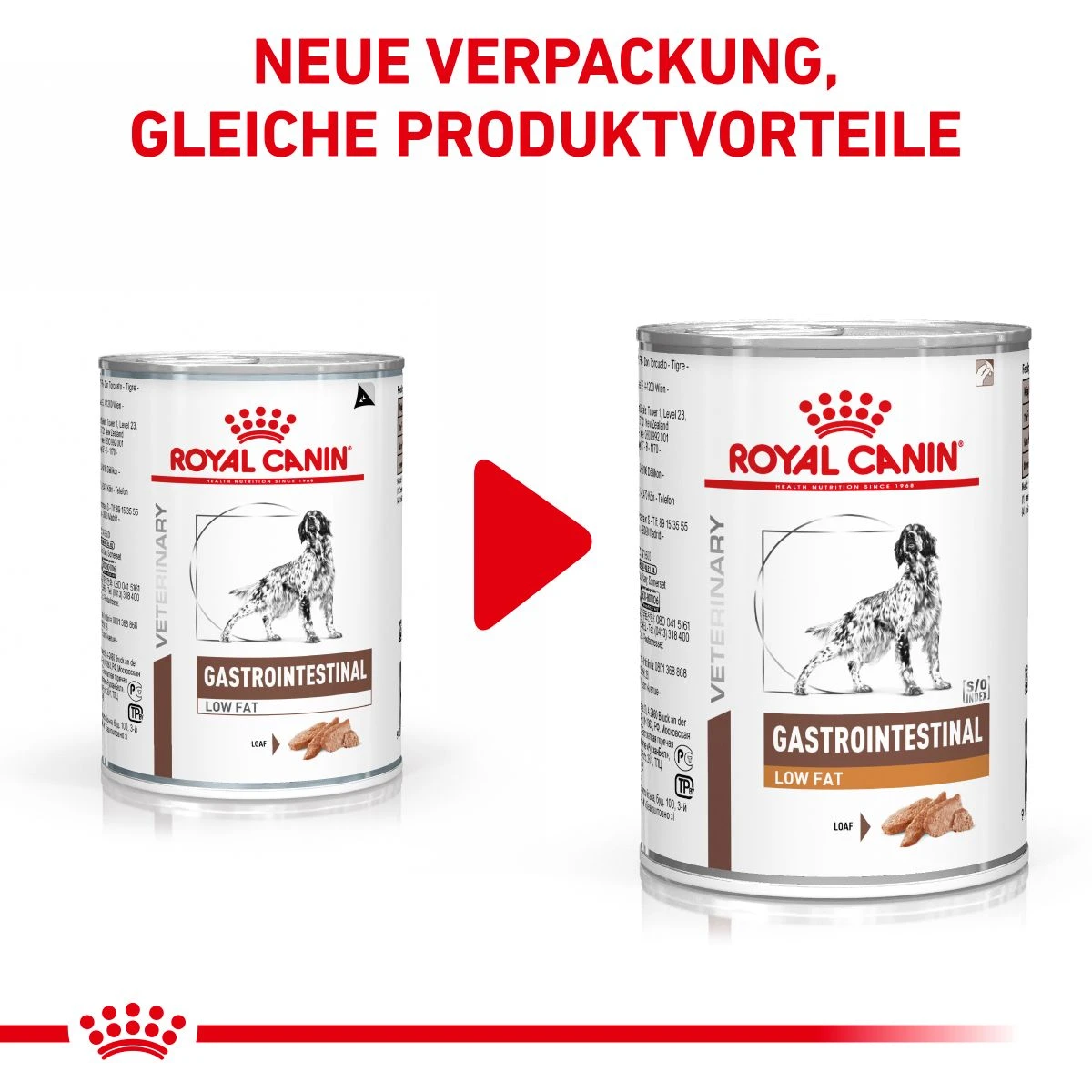 Royal Canin Gastrointestinal Low Fat Hundefutter In Dosen 12 X 200 G Low Fat Mousse Dosenfutter 3 Royal Canin Gastrointestinal Low Fat Hundefutter In Dosen 12 X 200 G Low Fat Mousse Dosenfutter
