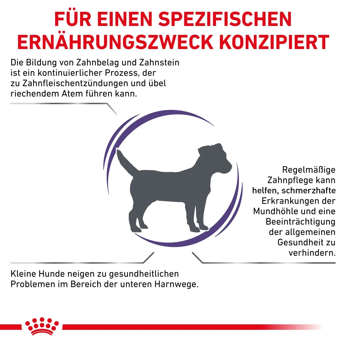 Royal Canin Dental Small Dogs Trockenfutter Für Hunde 1,5 Kg Trockenfutter Für Hunde 5 Royal Canin Dental Small Dogs Trockenfutter Für Hunde 1,5 Kg Trockenfutter Für Hunde – Bild 3