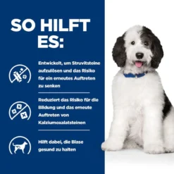 Hills Urinary Care C/d Multicare Dosenfutter Für Hunde 12 X 370 G Dosenfutter Für Hunde -Deutschland Kuschel Pet Verkaufs-Shop axvoYnaImTIj 52742056937 4