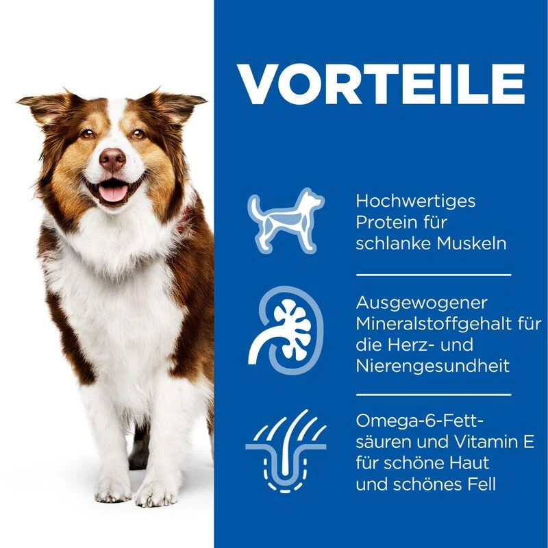 Hills Science Plan Canine Mature Adult 7+ Hund Huhn Dosenfutter 12 X 370 G Dosenfutter Mit Huhn 5 Hills Science Plan Canine Mature Adult 7+ Hund Huhn Dosenfutter 12 X 370 G Dosenfutter Mit Huhn – Bild 3