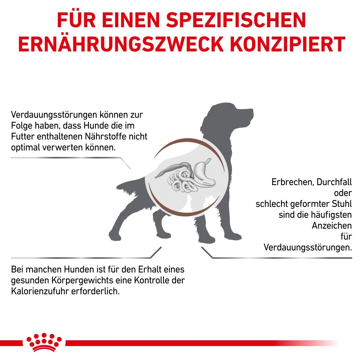 Royal Canin Gastrointestinal Moderate Calorie Hund Trockenfutter 2 Kg Gastro Intestinal Moderate Calorie 4 Royal Canin Gastrointestinal Moderate Calorie Hund Trockenfutter 2 Kg Gastro Intestinal Moderate Calorie – Bild 2