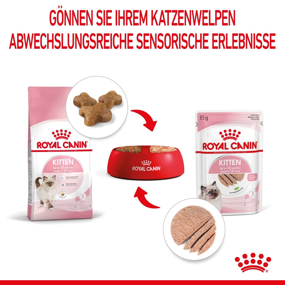 Royal Canin Kitten Frischebeutel Mousse 12 X 85 G Mousse Frischebeutel 6 Royal Canin Kitten Frischebeutel Mousse 12 X 85 G Mousse Frischebeutel – Bild 4
