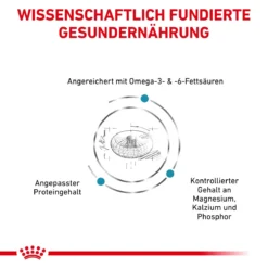 Royal Canin Skin & Coat Trockenfutter Für Katzen 1,5 Kg Trockenfutter Für Katzen -Deutschland Kuschel Pet Verkaufs-Shop cL4bfG5oQLza 3182550939188 5493 4