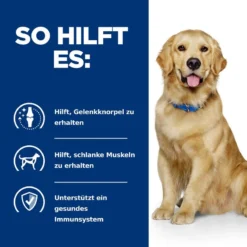 Hills J/d Reduced Calorie Trockenfutter Für Hunde 12 Kg Trockenfutter Für Hunde 11 Hills J/d Reduced Calorie Trockenfutter Für Hunde 12 Kg Trockenfutter Für Hunde -Deutschland Kuschel Pet Verkaufs-Shop d08eLGnZPaov 52742613901 4
