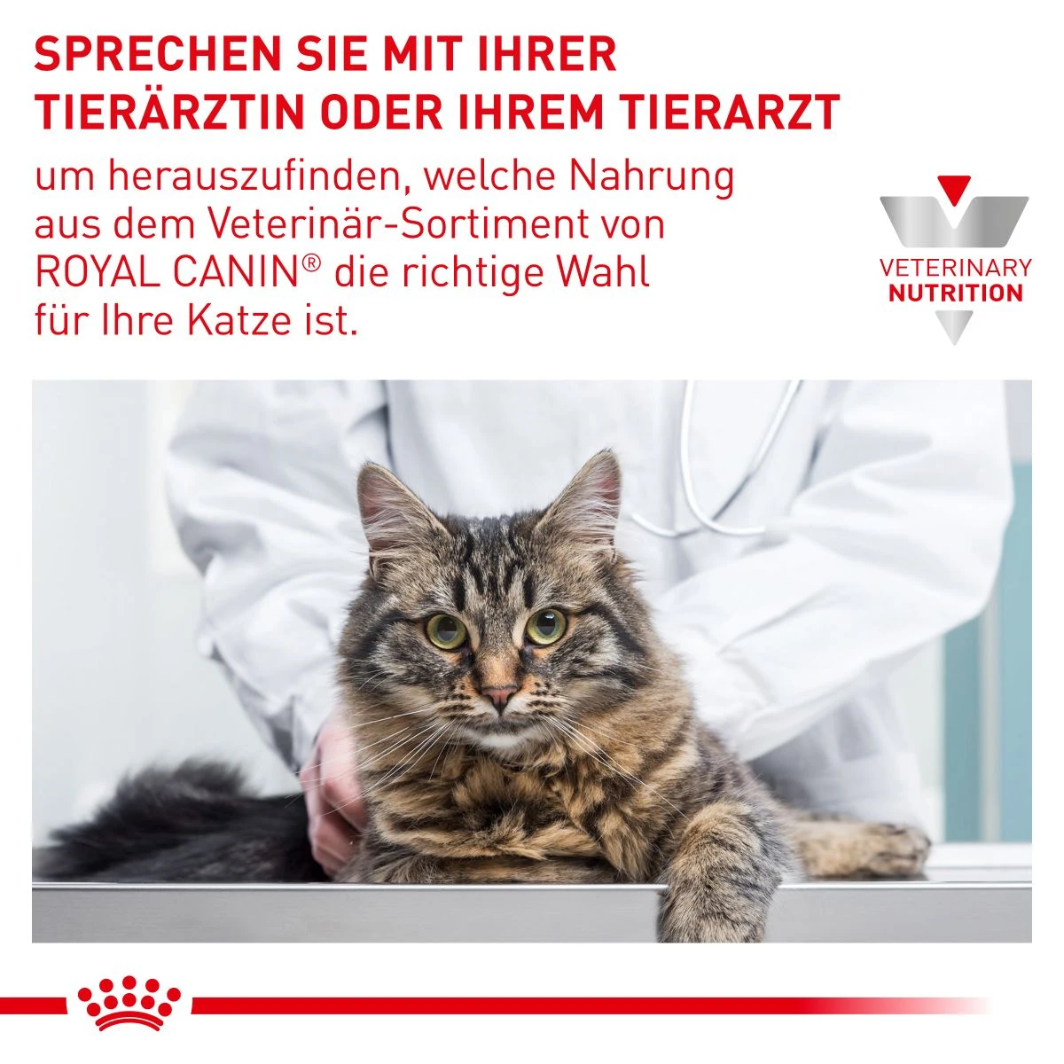 Royal Canin Mature Consult Katze Frischebeutel 12 X 85 G Frischebeutel Für Katzen 9 Royal Canin Mature Consult Katze Frischebeutel 12 X 85 G Frischebeutel Für Katzen – Bild 7