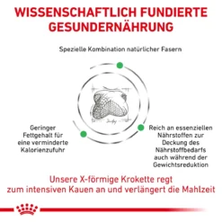 Royal Canin Satiety Weight Management Trockenfutter Für Hunde 1,5 Kg Trockenfutter Für Hunde 12 Royal Canin Satiety Weight Management Trockenfutter Für Hunde 1,5 Kg Trockenfutter Für Hunde -Deutschland Kuschel Pet Verkaufs-Shop dcWsP86MEFM1 3182550731386 288 4