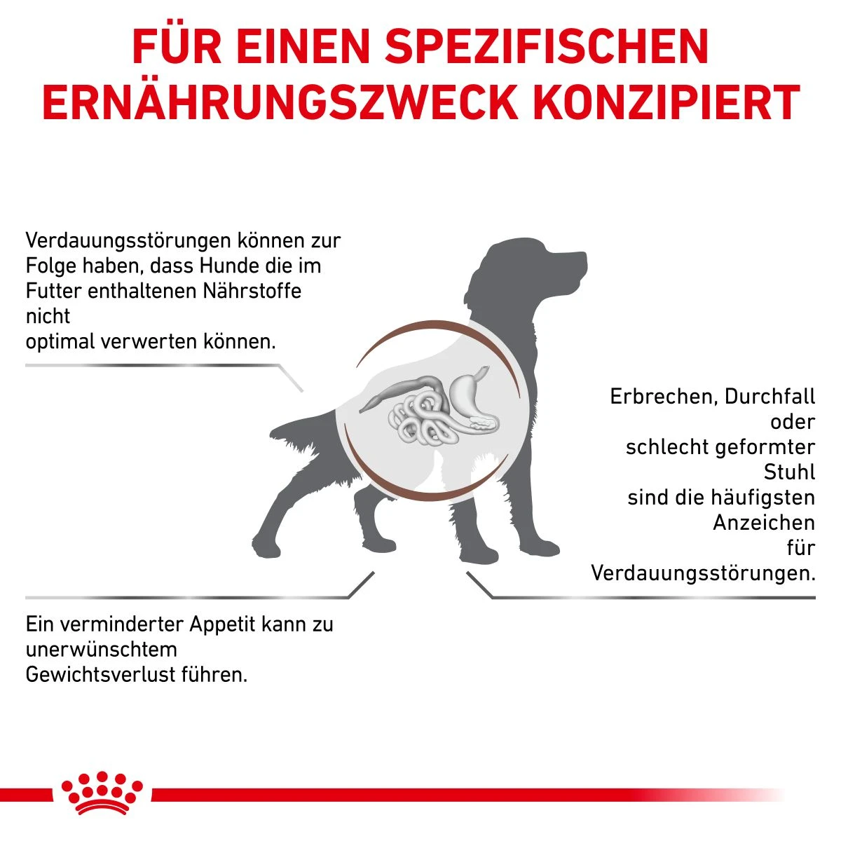 Royal Canin Gastrointestinal Trockenfutter Für Hunde 2 Kg Trockenfutter Für Hunde 4 Royal Canin Gastrointestinal Trockenfutter Für Hunde 2 Kg Trockenfutter Für Hunde – Bild 2