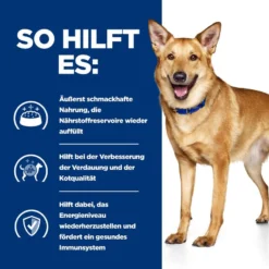 Hills I/d Ragout In Dosen Für Hunde 12 X 354 G Dosenfutter Für Hunde -Deutschland Kuschel Pet Verkaufs-Shop eEdYmcizJ2jB 52742039855 4