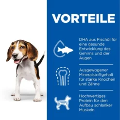 Hills Science Plan Canine Hund Puppy Huhn Dosenfutter 12 X 370 G Dosenfutter Mit Huhn -Deutschland Kuschel Pet Verkaufs-Shop exq99wwSD4s9 52742050874 3