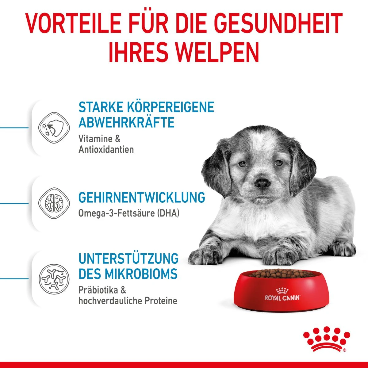 Royal Canin Medium Puppy Für Welpen Mittelgroßer Hunderassen 4 Kg Trockenfutter 7 Royal Canin Medium Puppy Für Welpen Mittelgroßer Hunderassen 4 Kg Trockenfutter – Bild 5