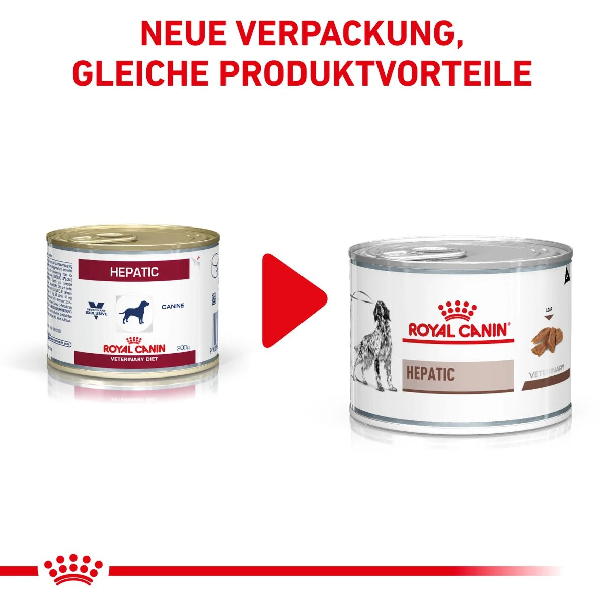 Royal Canin Hepatic Dosenfutter Für Hunde 12 X 200 G Mousse Dosenfutter 10 Royal Canin Hepatic Dosenfutter Für Hunde 12 X 200 G Mousse Dosenfutter – Bild 8