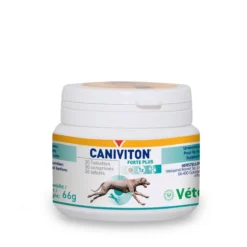 Vetoquinol Caniviton Forte Plus 30 Kautabletten 5 Vetoquinol Caniviton Forte Plus 30 Kautabletten -Deutschland Kuschel Pet Verkaufs-Shop gBSfFVOUhvu0 11112 caniviton forte plus 30