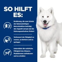 Hills K/d + Mobility Ragout In Dosen Für Hunde 12 X 354 G Dosenfutter Für Hunde -Deutschland Kuschel Pet Verkaufs-Shop iIWgzwnxkqQc 52742021423 4