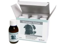 Alfavet ReConvales Tonicum Hund 6 X 90 Ml ReConvales Tonicum Hund 4 Alfavet ReConvales Tonicum Hund 6 X 90 Ml ReConvales Tonicum Hund – Bild 2