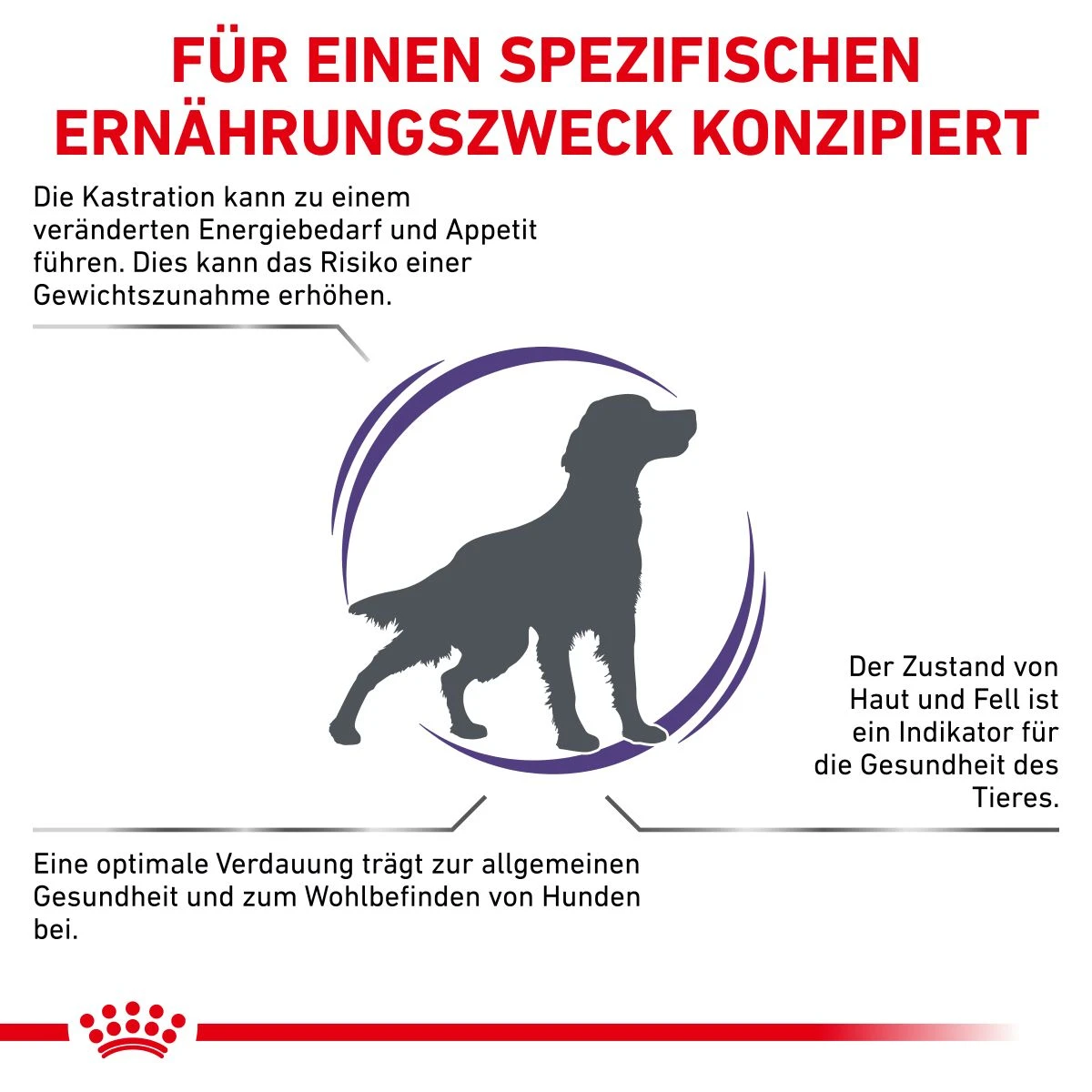 Royal Canin Neutered Adult Medium Dogs Hundefutter 9 Kg Trockenfutter Für Hunde 5 Royal Canin Neutered Adult Medium Dogs Hundefutter 9 Kg Trockenfutter Für Hunde – Bild 3