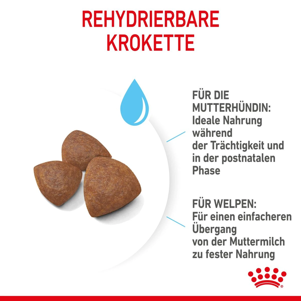 Royal Canin Medium Starter Trockenfutter 15 Kg Trockenfutter Für Hunde 8 Royal Canin Medium Starter Trockenfutter 15 Kg Trockenfutter Für Hunde – Bild 6