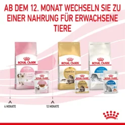 Royal Canin Kitten Second Age Für Kätzchen Bis Zum 12. Monat 12 X 85 G In Soße Frischebeutel -Deutschland Kuschel Pet Verkaufs-Shop mOI5u1yxXlGH 9003579308745 4501 9