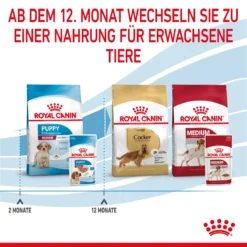 Royal Canin Medium Puppy Frischebeutel 10 X 140 G Frischebeutel Für Hunde 17 Royal Canin Medium Puppy Frischebeutel 10 X 140 G Frischebeutel Für Hunde -Deutschland Kuschel Pet Verkaufs-Shop n7NvOEGhibri 9003579008324 4711 8