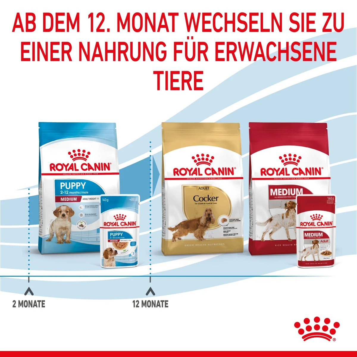 Royal Canin Medium Puppy Frischebeutel 10 X 140 G Frischebeutel Für Hunde 9 Royal Canin Medium Puppy Frischebeutel 10 X 140 G Frischebeutel Für Hunde – Bild 7