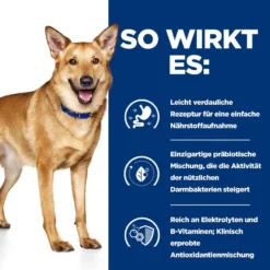 Hills I/d Dosenfutter Für Hunde 12 X 360 G Dosenfutter Mit ActivBiome+ Truthahn Für Hunde -Deutschland Kuschel Pet Verkaufs-Shop nNKJ873jZr8A 52742053028 3