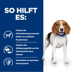 Hills R/d Dosenfutter Für Hunde 12 X 350 G Dosenfutter Für Hunde 12 Hills R/d Dosenfutter Für Hunde 12 X 350 G Dosenfutter Für Hunde -Deutschland Kuschel Pet Verkaufs-Shop onZhcGJXp0LN 52742801407 4