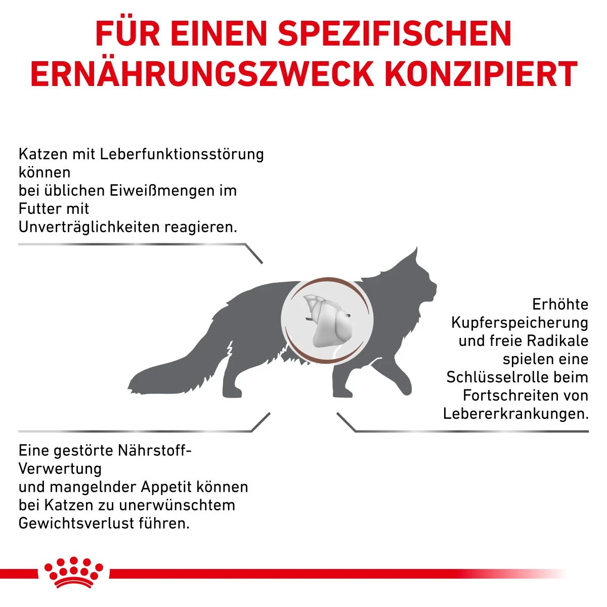 Royal Canin Hepatic Trockenfutter Für Katzen 2 Kg Katze Trockenfutter 4 Royal Canin Hepatic Trockenfutter Für Katzen 2 Kg Katze Trockenfutter – Bild 2