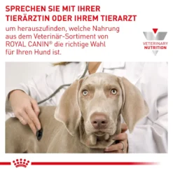 Royal Canin Urinary S/O AGEING 7+ Hundefutter 1,5 Kg Trockenfutter Für Hunde 17 Royal Canin Urinary S/O AGEING 7+ Hundefutter 1,5 Kg Trockenfutter Für Hunde -Deutschland Kuschel Pet Verkaufs-Shop qHl449A5sXnN 3182550896863 6332 7