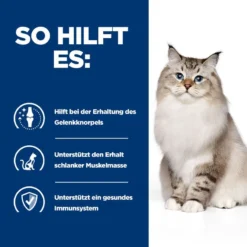 Hills J/D Trockenfutter Für Katzen 1,5 Kg Trockenfutter Für Katzen -Deutschland Kuschel Pet Verkaufs-Shop qxAiHb4IIKhR 52742048352 4