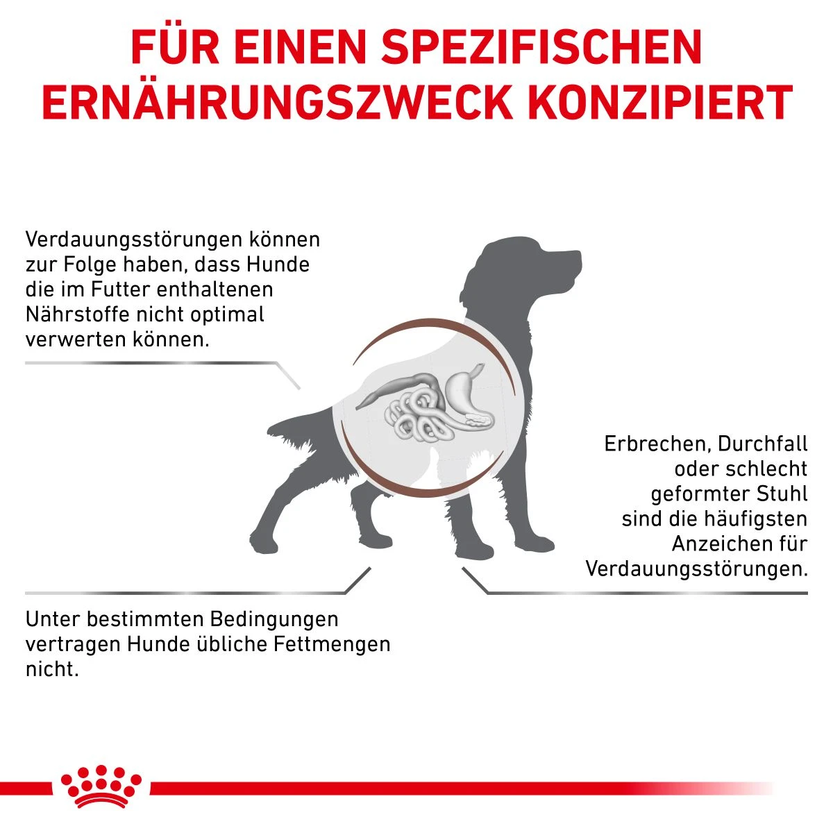 Royal Canin Gastrointestinal Low Fat Hundefutter In Dosen 12 X 200 G Low Fat Mousse Dosenfutter 10 Royal Canin Gastrointestinal Low Fat Hundefutter In Dosen 12 X 200 G Low Fat Mousse Dosenfutter – Bild 8