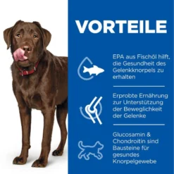 Hills Science Plan Canine Adult Healthy Mobility Large Breed Huhn Trockenfutter 14 Kg Trockenfutter 7 Hills Science Plan Canine Adult Healthy Mobility Large Breed Huhn Trockenfutter 14 Kg Trockenfutter -Deutschland Kuschel Pet Verkaufs-Shop rMHVNflOd8Kg 52742026015 3