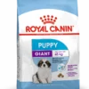 Royal Canin Gigant Puppy Trockenfutter Für Welpen Sehr Großer Rassen 3,5 Kg Trockenfutter Für Hunde (neues Design) -Deutschland Kuschel Pet Verkaufs-Shop rl4PGaGr7y6X 3182550707046 3075 Packshot