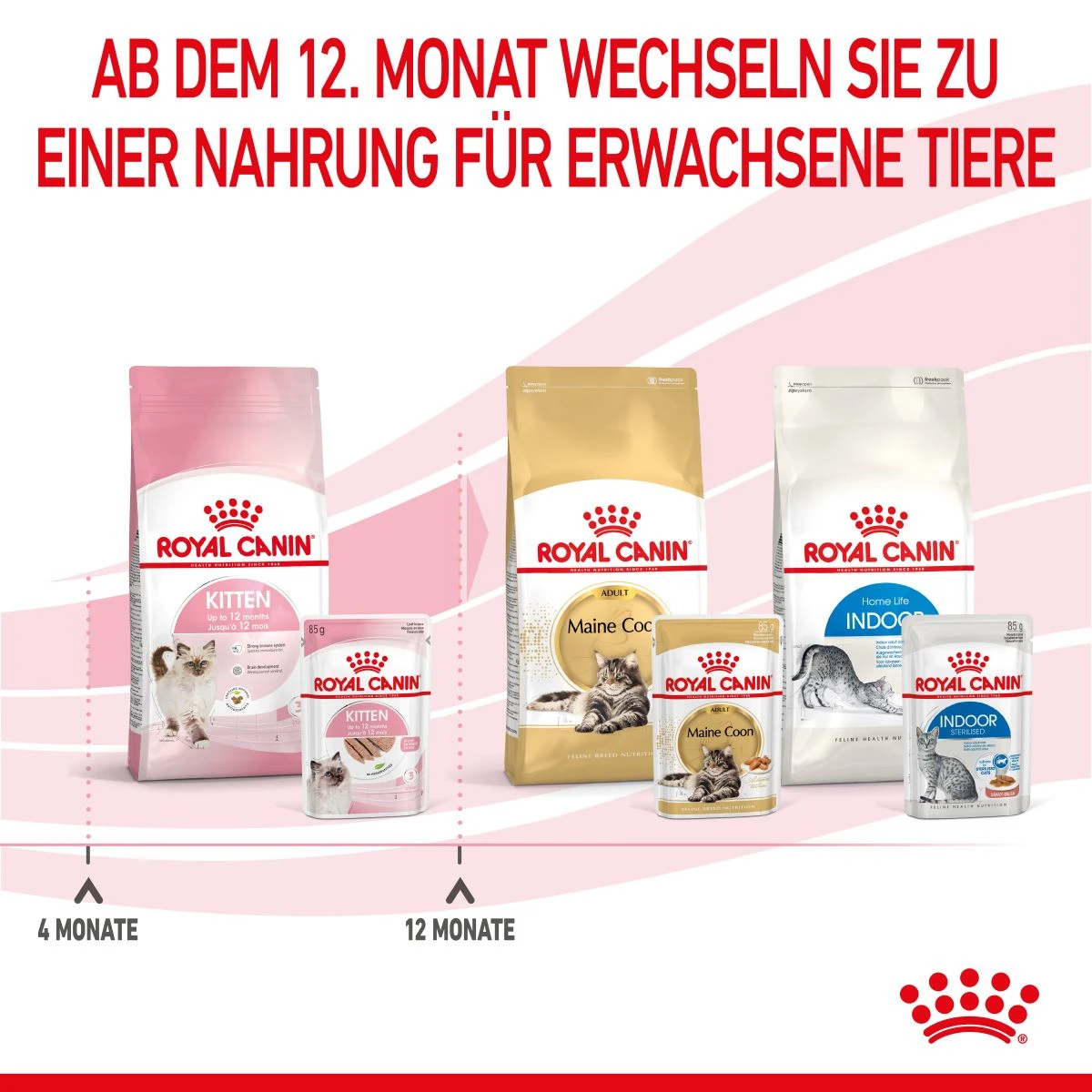 Royal Canin Kitten Frischebeutel Mousse 12 X 85 G Mousse Frischebeutel 9 Royal Canin Kitten Frischebeutel Mousse 12 X 85 G Mousse Frischebeutel – Bild 7